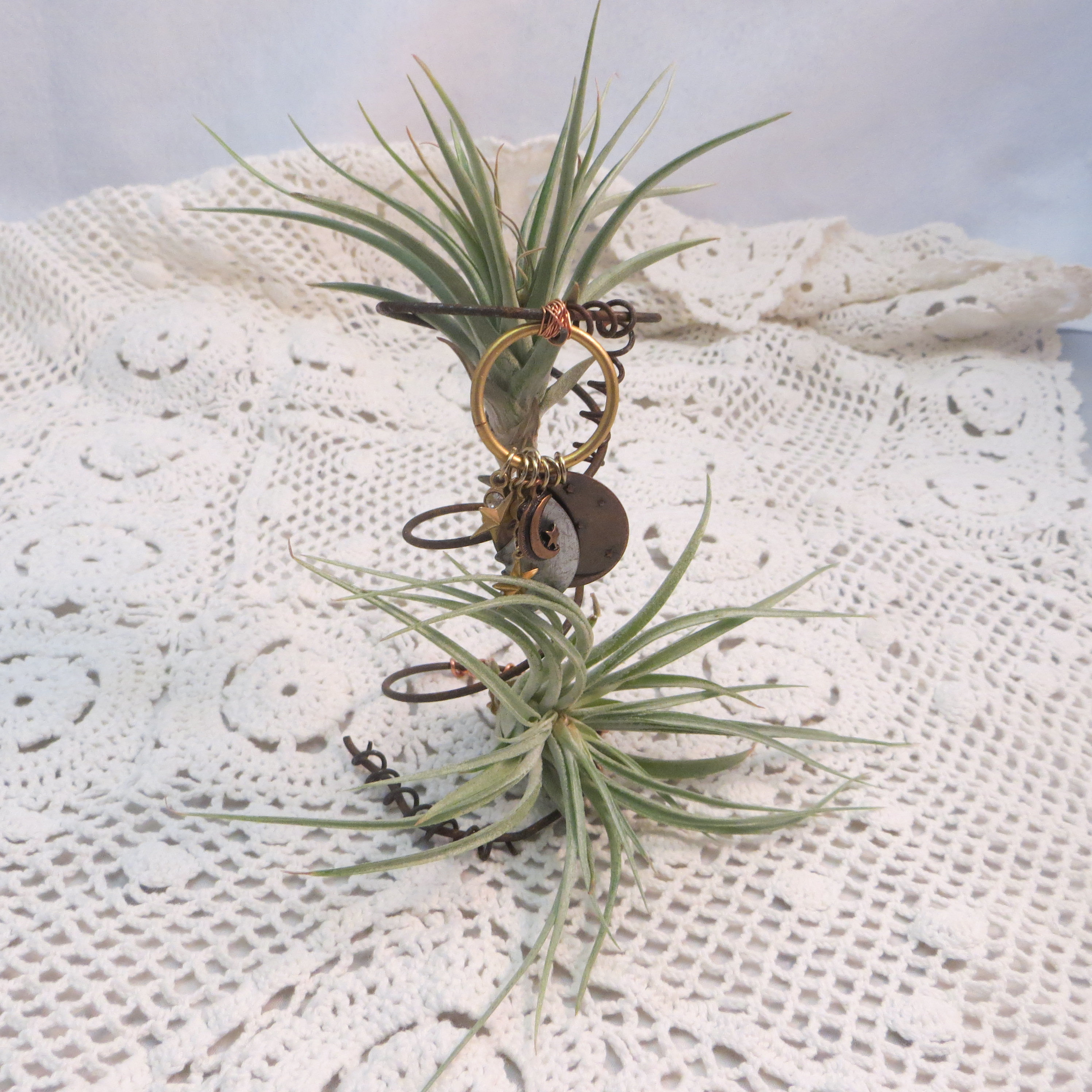 Air Plant Stand Funky Bed Spring Air Plant Holder Old Antique Bed Spring Rusty Bed Spring with Charms Sun and Moon Air Plant Holder Unique Air Plant Stand Funky Bed Spring Air Plant Holder Old Antique Bed Spring Rusty Bed Spring with Charms Sun and Moon Air Plant Holder Unique