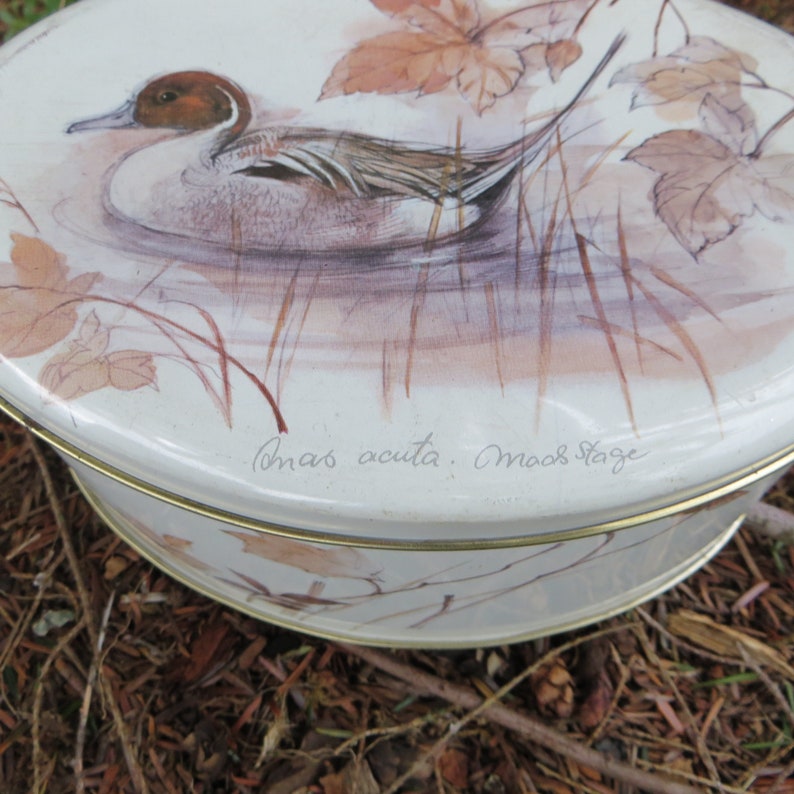 Vintage Tin Box Oval Shaped Large Tin Box with Lid Soft Colors with a Duck and Leaves Made in England Candy or Cookie Tin Moos Page