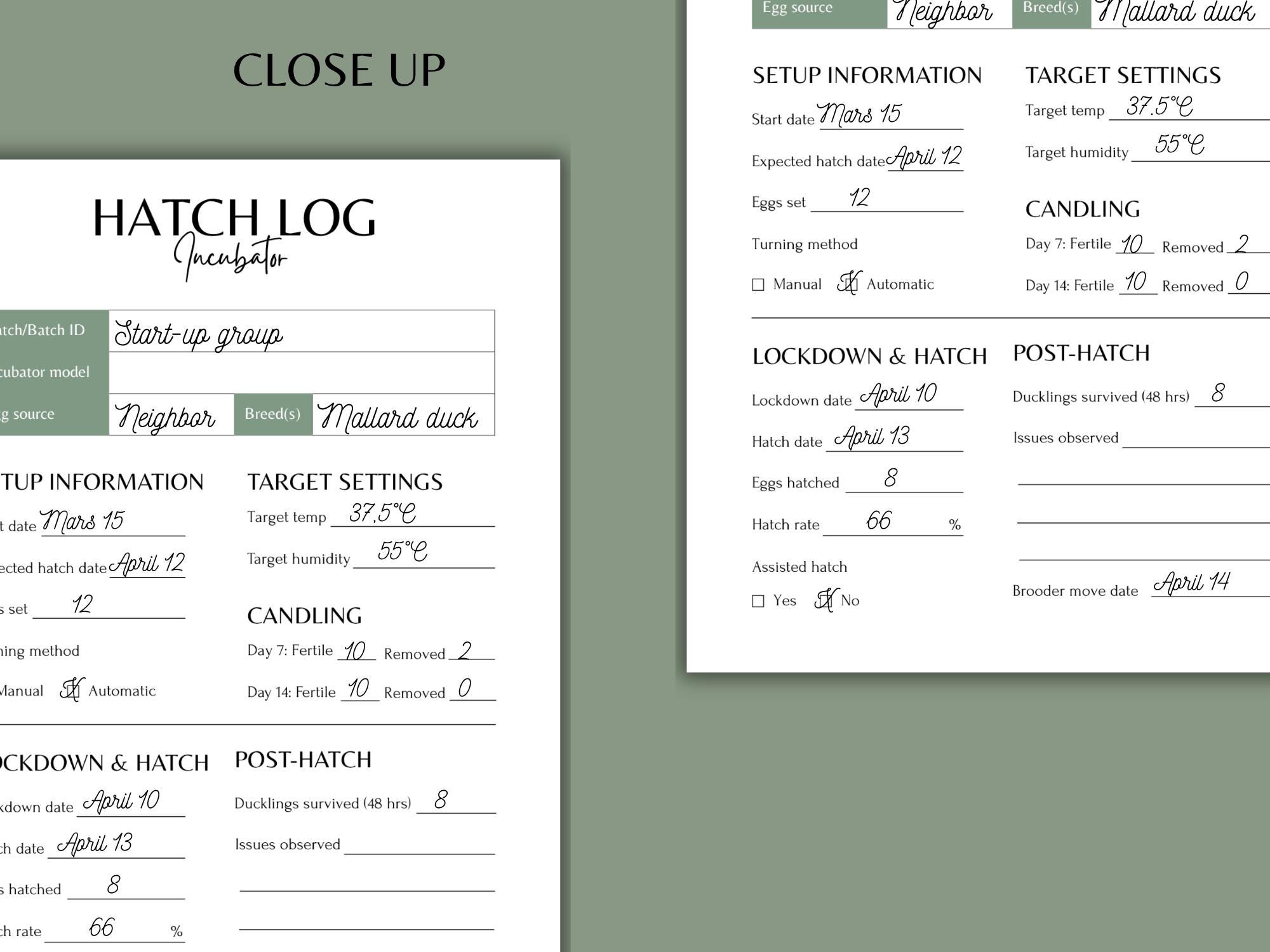 Hatching Record Incubator Hatch Log & Incubation Tracker Printable | Duck Hatching ...