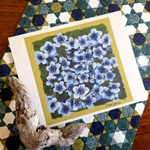 Bloemenwenskaarten, Bloemsierkunst, Bloemenkaarten, Wilde bloemen, Wenskaarten, Handgemaakte kaarten