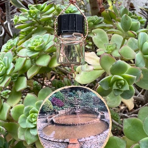 May include: A copper wire wrapped around a small glass bottle with a black lid, hanging from a wooden round ornament with a picture of a stone fountain. The ornament is surrounded by green succulent plants.