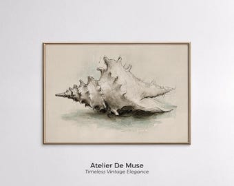 Vintage Seashell Sketch, Coastal Cottage Decor, Nautical Illustration, Digital Download