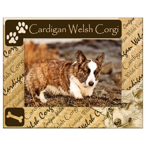May include: A framed photograph featuring a Cardigan Welsh Corgi dog. The dog has a brown and white coat and is set against a natural background. The frame is light brown with the words "Cardigan Welsh Corgi" and paw prints.