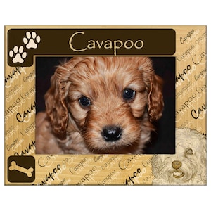 May include: A wooden picture frame featuring a close-up of a Cavapoo puppy. The frame has a brown border with paw prints and a bone graphic. The word "Cavapoo" is written across the top. The frame is decorated with the word "Cavapoo" in a repeating pattern.