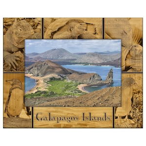 May include: Wooden picture frame featuring a central landscape of the Galapagos Islands, surrounded by engraved images of local wildlife, including a penguin, iguana, and tortoise. The frame includes the text "Galapagos Islands".