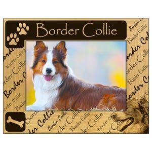 May include: Wooden picture frame featuring a Border Collie dog. The frame has the words "Border Collie" and paw prints on a dark brown background. The frame also has a bone graphic. The dog in the photo has brown and white fur.