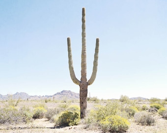 Desert Landscape, Cactus Print, Desert Art, Photography, Large Wall Art, Cactus Home Decor, Nature, Large Photography, "Saguaro"