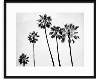 Palm Tree Print, Surf Room Print, Surf Decor, Beach Room Decor, Surf Decor, Black And White Palm Trees, Palm Trees, Large Beach Print