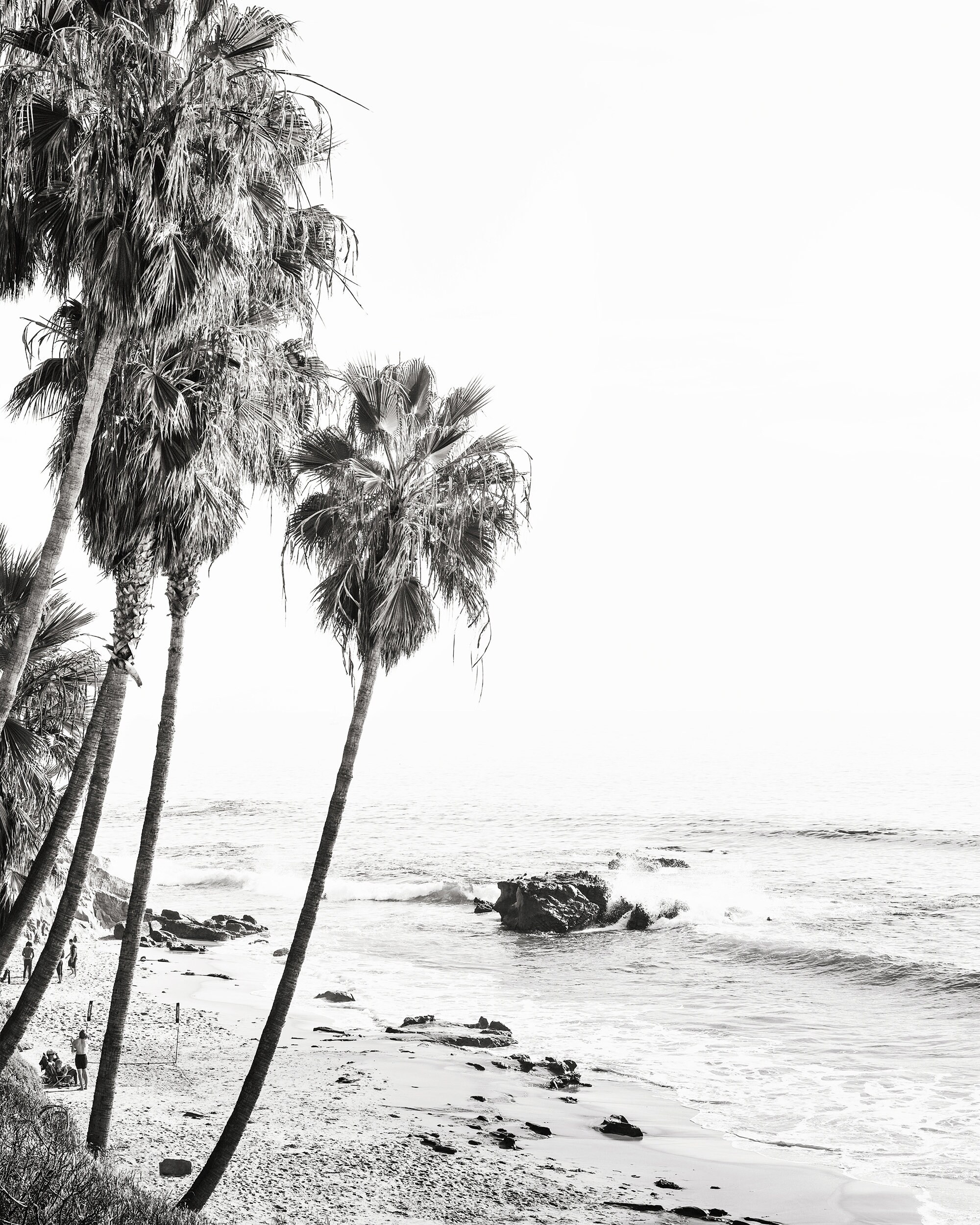 Laguna Beach Wall Art Black and White Beach Print Palm Etsy