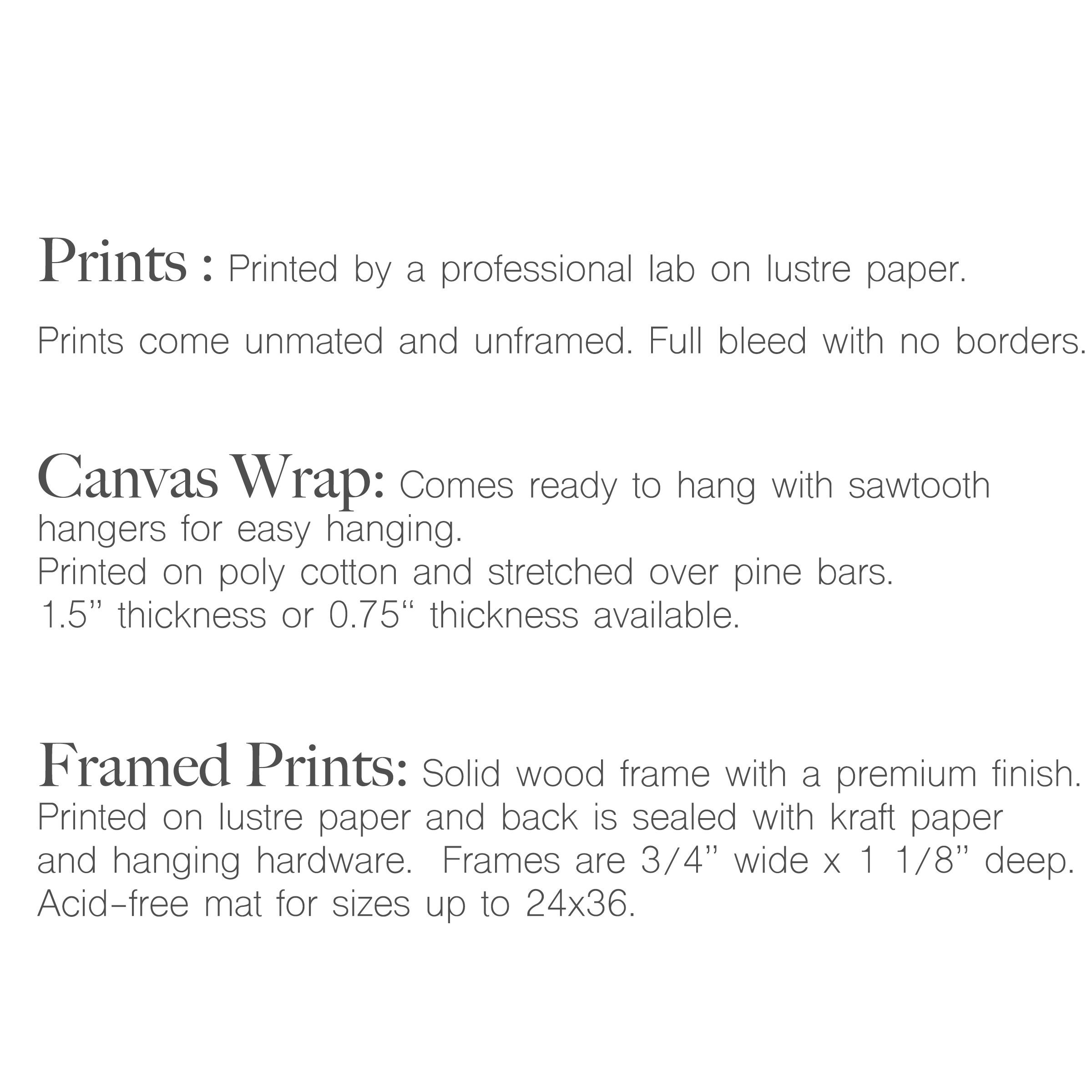 Santa Cruz Boardwalk California Wall Art Kids Print Nursery Etsy