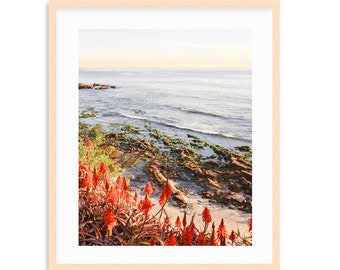 Laguna Beach Art, Floral Spring Art, Cactus, Ocean, Coastal Wall Art, California Coast, Laguna Beach Wall Art, Large Photography, Beach Art