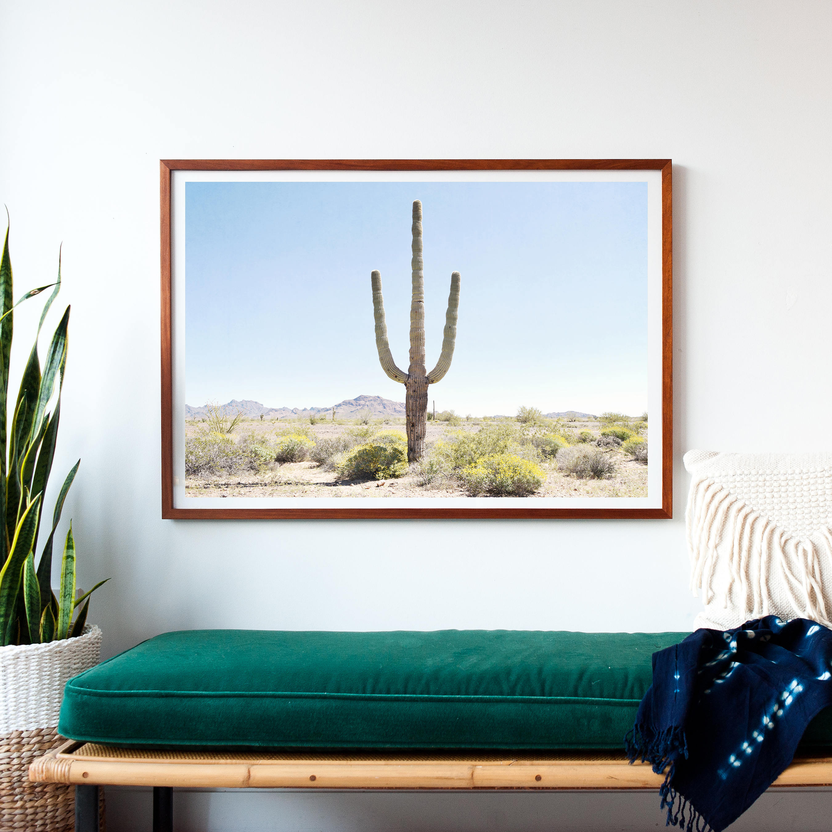 Desert Wall Art Large Photography Framed Print Cactus Etsy