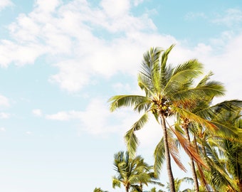 Palm Tree Art, Tropical Beach Art, Tropical Nursery, Aqua Blue, Coastal Living, Beach Decor, Hawaii Coconut Palms, Minimalist Beach Style