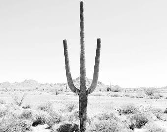 Black and white wall art, Desert Art, Cactus Print, Desert Decor, Saguaro Cactus, Square Print, Square Wall Art, Black And White Photography