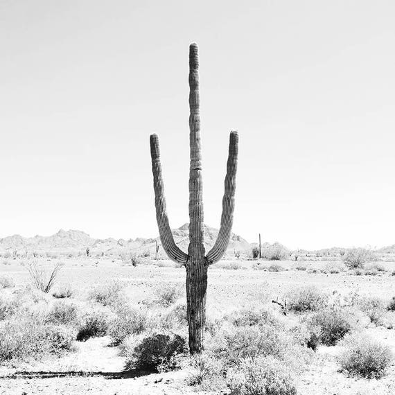 Arte De La Pared En Blanco Y Negro Arte Del Desierto Etsy