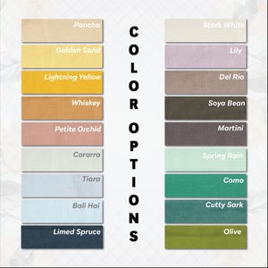 May include: A color chart displaying various fabric swatches with names. The swatches are arranged in rows and columns, showcasing a range of colors from light neutrals to deep hues. The text "COLOR OPTIONS" is vertically aligned in the center.