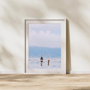 Könnte beinhalten: Gerahmter Druck mit einer Champagnerflasche und einer Hand, die ein Friedenszeichen im Meer macht. Die Flasche hat ein dunkles Etikett und Goldfolie. Der Hintergrund zeigt einen blauen Himmel und Wasser.