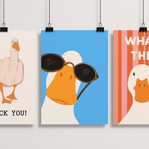 May include: Three framed art prints featuring cartoon ducks. One shows a duck giving the middle finger with the text "DUCK YOU!". Another has a duck wearing sunglasses. The third print says "WHAT THE".
