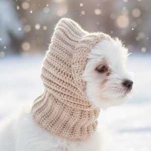 Può includere: Una tazza di ceramica bianca con manico nero e la scritta "But First, Coffee" in grassetto nero. La tazza è posta su uno sfondo sfocato. La tazza misura circa 10 cm di altezza.
