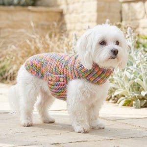 Może przedstawiać: Mały biały pies w kolorowym, pasiastym swetrze z szydełka z kołnierzem i dwoma małymi drewnianymi guzikami z przodu. Sweter ma pastelowe odcienie różu, żółtego, niebieskiego i zielonego. Pies stoi na kamiennej powierzchni.