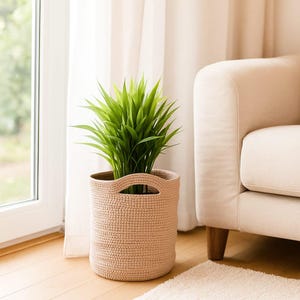 Può includere: Un vaso per piante beige intrecciato con due manici contiene una pianta verde. Il vaso è posto su un pavimento in legno, accanto a una finestra con tende bianche e un divano beige. Le lunghe e sottili foglie della pianta aggiungono un tocco naturale.