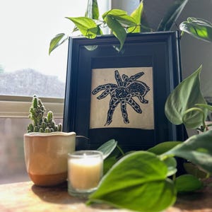 The Tarantula