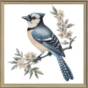 May include: A framed cross-stitch of a blue jay perched on a flowering branch. The bird has blue, white, and black feathers. The flowers are white and the frame is a light brown colour.