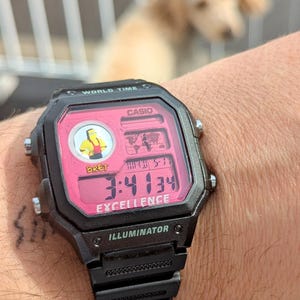 Casio Bret Simpson ae-1200 Custom w/Hydro Mod and foil backing!