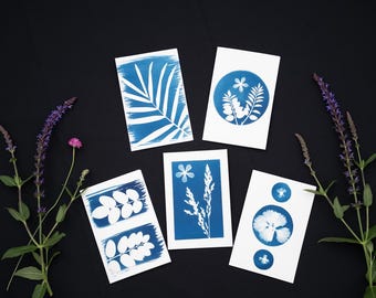 Handmade Cyanotype Blank Card Set