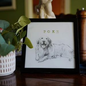 Custom Pet Portrait Drawing – Vintage Style Pencil Sketch – Personalized Pet Memorial Gift – Dog Cat Animal Art – HandDrawn Pet Illustration
