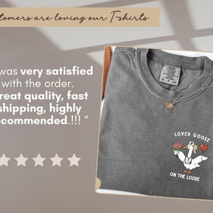 Pu&ograve; includere: T-shirt grigio scuro con girocollo e la scritta "LOVER GOOSE ON THE LOOSE". La maglietta presenta un'oca dei cartoni animati che tiene fiori e un cuore. Una collana d'argento con un ciondolo &egrave; sulla maglietta.
