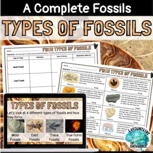 Types of Fossils Lesson with Google Slides, Notes, Worksheet, and Answer Key