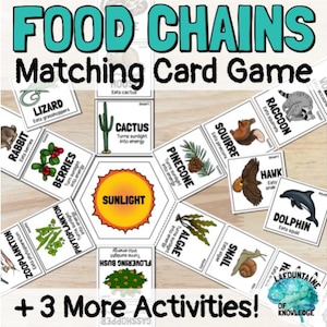 Może przedstawiać: Kolorowa edukacyjna gra karciana zatytułowana "Food Chains Matching Card Game". Karty zawierają ilustracje różnych zwierząt, roślin i źródeł pożywienia, w tym jaszczurki, jagody, kaktusa i szopa pracza. Gra zawiera również tekst "+3 More Activities!"