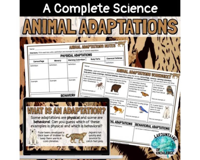 Animal Adaptations Physical Behavioral Google Slides Lesson, Notes ...