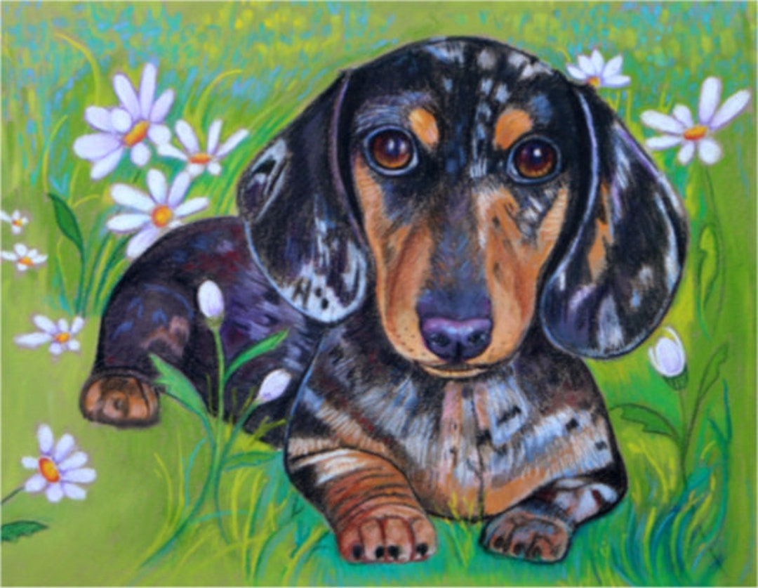 Dappled Dachshund art painting daisies pet portrait ORIGINAL