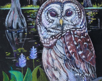 Barred owl Original painting bird wildlife  art bayou lake