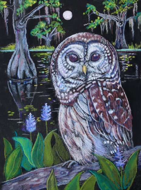 Barred owl Original painting bird wildlife  art bayou lake