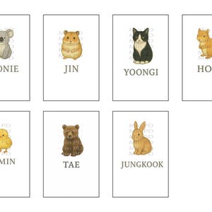 Kpop Binder Filler Set BTS