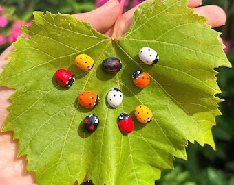 May include: A collection of small, colorful ladybug-shaped objects with black spots, resting on a large, green leaf. The ladybugs are red, orange, yellow, black, and white. The leaf is held by a hand, with a blurred floral background.