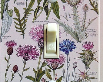 Thistles Vintage Illustration, Decorative Switch Plate Cover, Wall Plate, Single, Home Decor