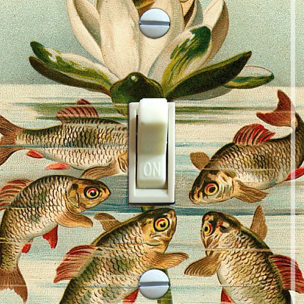 KOI and FROG Vintage Illustration, Switch Plate Cover, Wall Plate, Single/Double, Home Decor