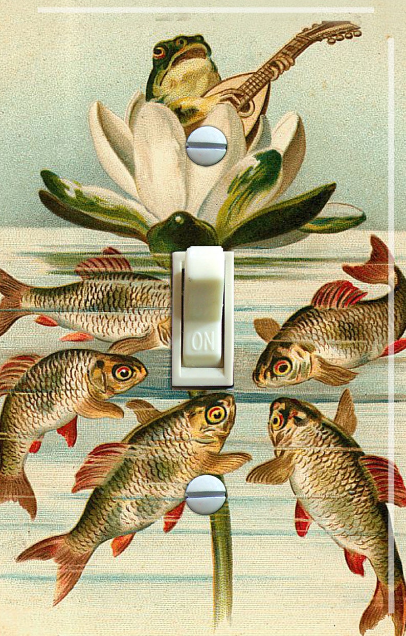 KOI and FROG Vintage Illustration, Switch Plate Cover, Wall Plate, Single/Double, Home Decor Single