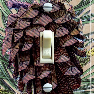 Pinecone Illustration, Decorative Switch Plate Cover, Wall Plate, Single/Double, Home Decor