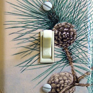 Pinecones IlIustration, Decorative Switch Plate Cover, Wall Plate, Single/Double, Home Decor