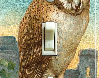 OWL Vintage Illustration, Switch Plate Cover, Wall Plate, Single, Home Decor