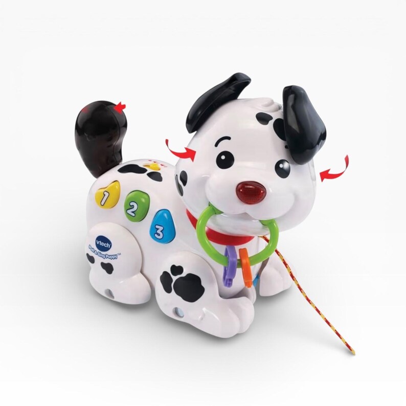 Switch! Anpassad VTech Drag & Sjung Valp – Adaptiv Musikalisk Dragleksak bild 1