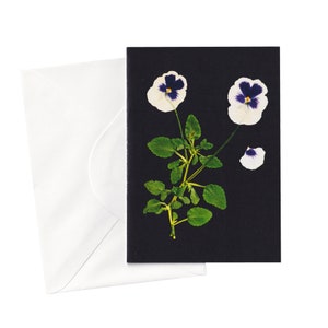 Carte de fleur de pensée blanche | Carte de vœux florale pressée |