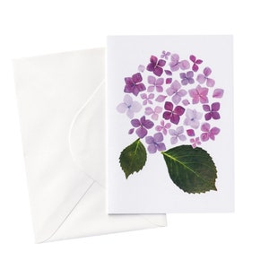 Carte Fleurs d’hortensia |  Carte de vœux florale pressée |