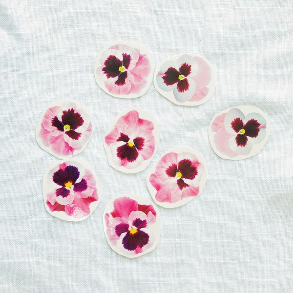 Large Pink Pansy Flower Temporary Tattoo Pack