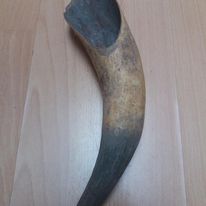 Large Vintage Cow Horn, Old Big Horn, Natural Horn, Rustic Decor, Hunting Decor, Primitive Real Horn, Farmhouse, Animal Bone, Gift Idea